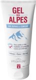 PHARMALP Gel des Alpes Tube, 100 ml
