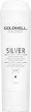 GOLDWELL Dual Senses Silver Conditioner, 200 ml