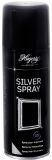 Hagerty Silver Spray aerosol