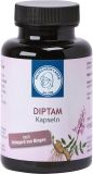 HILDEGARDS LADEN Diptam Kapseln, 90 Stück