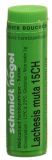 SN Lachesis muta Glob CH 15 1 g