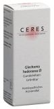 CERES Glechoma hederacea Urtinktur, 20 ml