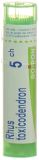 BOIRON rhus toxicodendron gran 5 CH 4 g