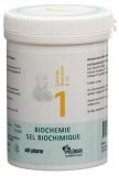 PFLÜGER SCHÜSSLER Nr1 Calc fluo Tabl D 12 250 g