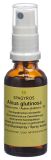 SPAGYROS GEMMO Alnus glutinosa macérat de glycérine D1, 30 ml