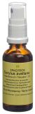 SPAGYROS GEMMO Corylus avellana macérat de glycérine D1, 30 ml