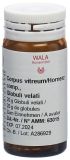 WALA corpus vitreum/hornerz comp glob 20 g