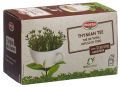 Morga Thymian Tee Bio Knospe Beutel, 20 Stück