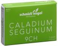 SN caladium seguinum glob 9 CH 5 x 1 g