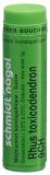 SN rhus toxicodendron glob 9 CH 1 g