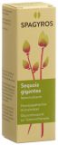 SPAGYROS GEMMO Sequoia gigantea Glyzerol Mazerat D4, 30 ml