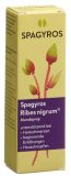 SPAGYROS Ribes nigrum Mundspray D1, 30 ml