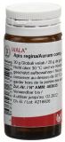WALA Apis regina/Aurum comp Glob 20 g