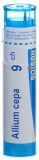 BOIRON Allium cepa Gran CH 9 4 g