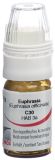 OMIDA euphrasia globules C30 avec doseur, 4 g