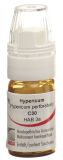 OMIDA Hypericum Globuli C30 mit Dosierhilfe, 4 g