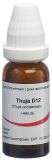 OMIDA Thuja Glob D 12 14 g