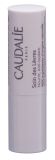 CAUDALIE VINOTHERAPIE Lippenpflege, 4.5 g