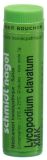 SN Lycopodium clavatum Glob XMK 1 g