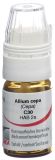 OMIDA allium cepa glob 30 C a doseur 4 g