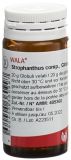 WALA Strophanthus comp Globuli, 20 g