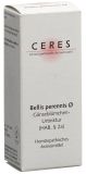 CERES bellis perennis teinture mère, 20 ml