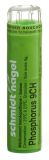 SN Phosphorus Gran CH 9 4 g