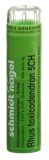 SN rhus toxicodendron gran 5 CH 4 g