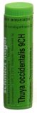 SN thuya occidentalis glob 9 CH 1 g