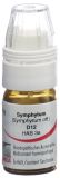 OMIDA Symphytum Glob D 12 m Dosierhilfe 4 g