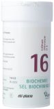 PFLÜGER SCHÜSSLER Nr16 Lit chlor Tabl D 6 100 g