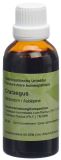 SPAGYROS Crataegus oxyacantha teinture mère, 50 ml
