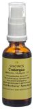 SPAGYROS GEMMO Crataegus laevi Glycerinmazerat D1, 30 ml