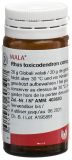 WALA Rhus toxicodendron comp Globuli, 20 g