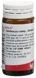 WALA sambucus comp globules, 20 g