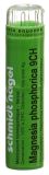 SN Magnesia phosphorica Gran CH 9 4 g