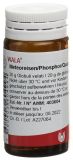 WALA Meteoreisen/Phosphor/Quarz Glob Fl 20 g