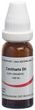 OMIDA cantharis glob 6 D 14 g