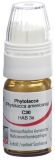 OMIDA phytolacca globules C30 avec doseur, 4 g