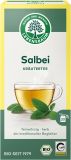 Lebensbaum Salbei Tee Beutel, 20 Stück