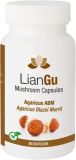 LianGu Agaricus ABM Mushrooms Kapseln, 120 Stück