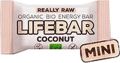 Lifefood Lifebar Coconut Mini barre énergétique, 25 g