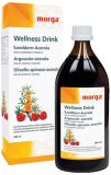 Morga Wellness Drink Sanddorn