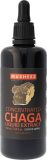 NaturKraftWerke Chaga Flüssigextrakt aus Bio-Vitalpilz Flasche, 100 ml