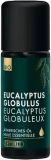 PHYTOMED Eucalyptus globulus huile essentielle Bio, 10 ml
