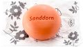 SPEICK Badeseife Sanddorn, 225 g