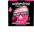 WATERDROP Microenergy Berry Boost, 12 Stück