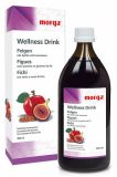Morga Wellness Drink Feigen