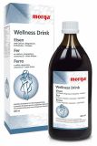 Morga Wellness Drink Eisen