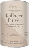WELLORA Poudre de collagène à boire, 300 g